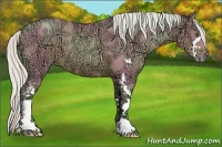 Horse Color:Watercolor Silver Black Ice Pearl Sabino