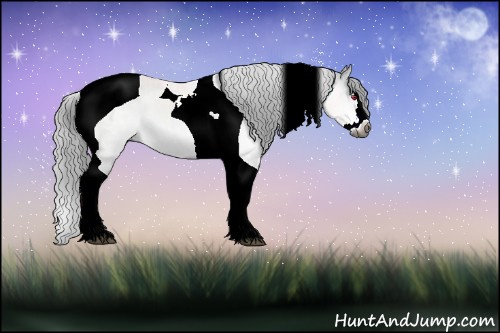 Horse Color:Gray Brown Chinchilla Sabino Splash Tobiano 