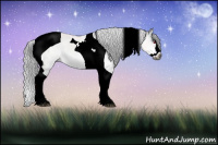 Horse Color:Gray Brown Chinchilla Sabino Splash Tobiano