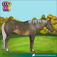 Horse Color:Silver Buckskin 