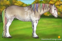 Horse Color:Painted White Spotted Silver Grullo Onyx Splash 
