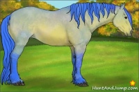 Horse Color:Watercolor Bay Dun Sabino 