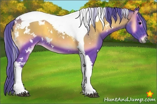 Horse Color:Watercolor White Spotted Blue Onyx Tobiano