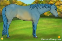 Horse Color:Watercolor Brown 