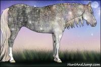 Horse Color:Nacre Cremello Ice Onyx 