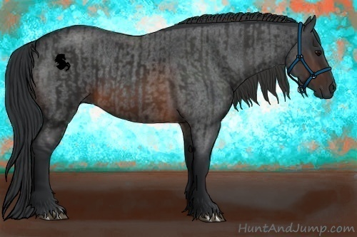 Horse Color:Brown Rabicano  and Brown Roan Rabicano 