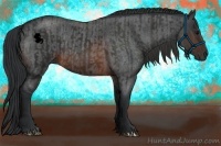 Horse Color:Brown Rabicano  and Brown Roan Rabicano 