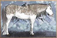 Horse Color:Grullo Sabino Splash  and Smoky Grullo Sabino Splash 
