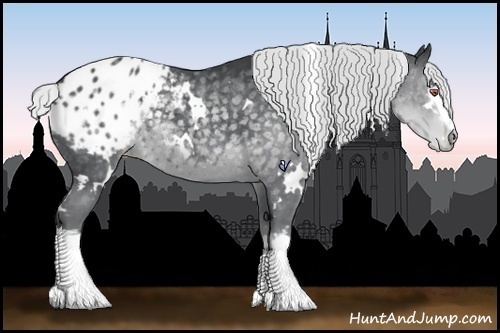 Horse Color:White Spotted Silver Black Chinchilla Appaloosa 