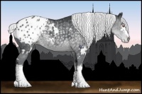 Horse Color:White Spotted Silver Black Chinchilla Appaloosa 