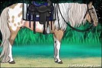 Horse Color:Silver Buckskin Dun Tobiano Blanket