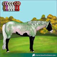 Horse Color:Watercolor Silver Brown Chinchilla Sabino Splash