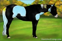 Horse Color:Watercolor Black Chinchilla Splash Tobiano 