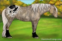 Horse Color:Silver Sable Champagne Ice Appaloosa