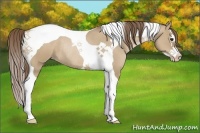 Horse Color:Grullo Pearl Splash Tobiano Rabicano