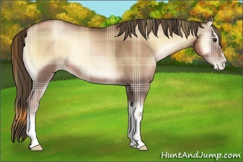 Horse Color:Plaid  Liver Red Onyx Pearl 