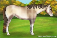 Horse Color:Plaid  Liver Red Onyx Pearl 