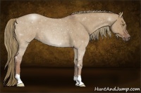 Horse Color:Red Dun Roan 