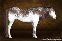 Horse Color:Painted White Spotted Bay Ice 
