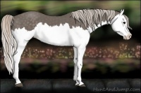 Horse Color:Silver Black Splash