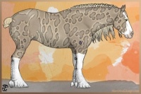 Horse Color:Gold Champagne Ice Splash Rabicano
