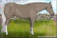 Horse Color:Silver Smoky Black Tobiano 