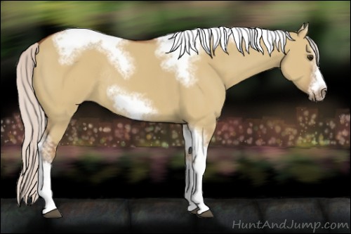 Horse Color:Silver Bay Dun Sabino Tobiano Frame Rabicano