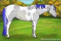 Horse Color:Watercolor Buckskin Dun Tobiano