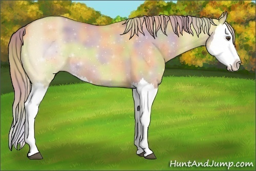 Horse Color:Nacre Palomino Roan Dun Splash 
