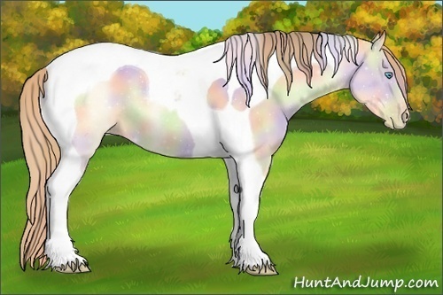 Horse Color:Nacre Buckskin Pearl Dun Tobiano 
