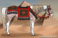 Horse Color:Liver Chestnut Ice Splash Tobiano