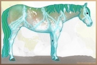 Horse Color:Thunderstruck Watercolor White Spotted Bay 