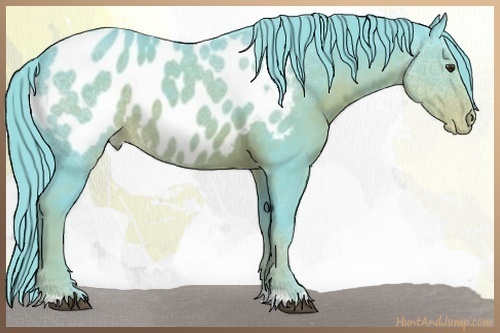 Horse Color:Watercolor Liver Chestnut Appaloosa 