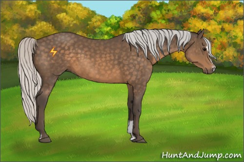 Horse Color:Silver Buckskin Sabino 