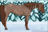 Horse Color:Red Roan 