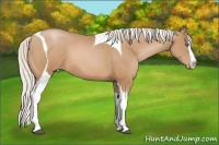 Horse Color:White Spotted Silver Bay Pearl Splash Tobiano 
