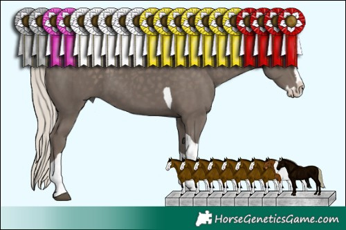 Horse Color:Silver Black Sabino Splash Tobiano