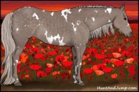 Horse Color:White Spotted Chocolate Silver Black 