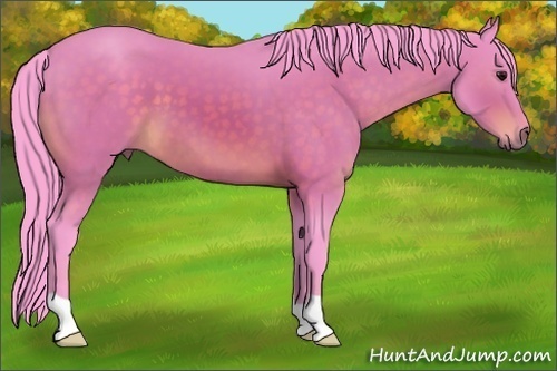 Horse Color:Watercolor Brown 