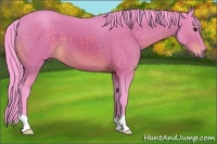 Horse Color:Watercolor Brown