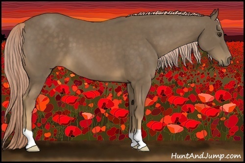 Horse Color:Chocolate Palomino 