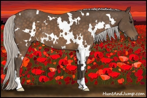 Horse Color:White Spotted Silver Brown 