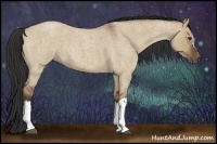 Horse Color:Bay Roan Dun 