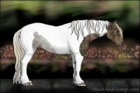 Horse Color:Plaid  Silver Black Ice Tobiano 