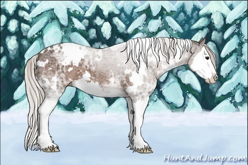 Horse Color:White Spotted Silver Black Ice Sabino Splash 