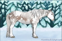 Horse Color:White Spotted Silver Black Ice Sabino Splash 