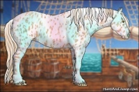 Horse Color:Gold Champagne Leopard  and Gold Champagne Leopard 