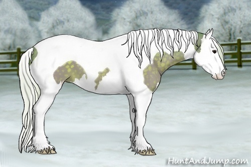 Horse Color:Watercolor Silver Brown Splash Tobiano 