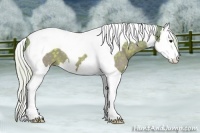 Horse Color:Watercolor Silver Brown Splash Tobiano