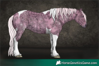 Horse Color:Watercolor Silver Black Chinchilla Ice Tobiano 